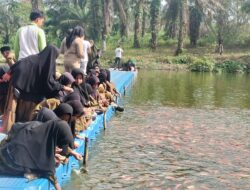 Tadinya semak belukar sulap menjadi waduk mini